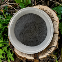 Face Mask Powder - Charcoal & Sea Salt