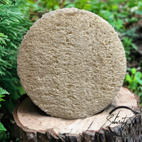 Loofah Facial Scrub Pad