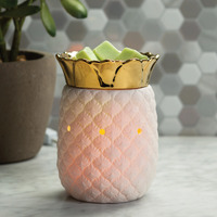 Pineapple Melt Warmer