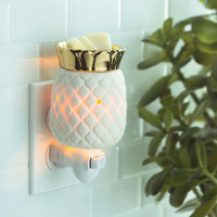 Pineapple Pluggable Melt Warmer