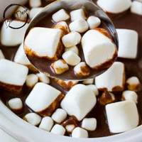 Hot Choc & Marshmallow Soy Wax Melt