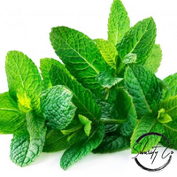 Lip Balm Flavour Oil - Spearmint 10ml